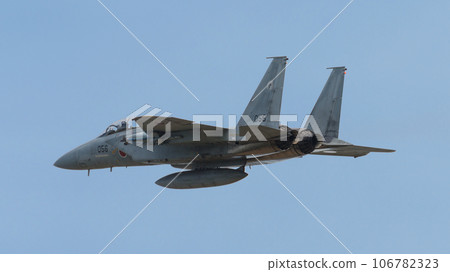 Air Self-Defense Force 303rd Squadron F-15DJ Eagle Air Self-Defense Force 303rd Squadron F-15DJ Eagle 106782323