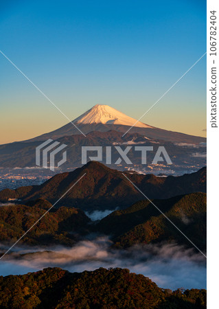 （靜岡縣）沼津阿爾卑斯山的雲海和白雪覆蓋的富士山 106782404