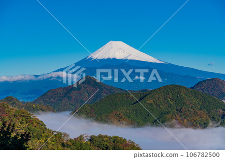 (靜岡縣)沼津阿爾卑斯山的雲海和白雪覆蓋的富士山 (靜岡縣)沼津阿爾卑斯山的雲海和白雪覆蓋的富士山 106782500
