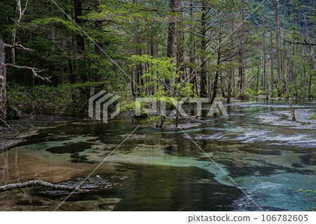 Kamikochi Takesawa Wetland, Nagano Prefecture Kamikochi Takesawa Wetland, Nagano Prefecture 106782605