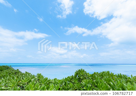 Blue sea of Miyakojima 106782717