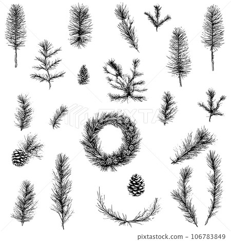 Vector line drawing. Christmas tree branches and cones drawn by a black line on a white background. Collection of Christmas decorative items. 106783849