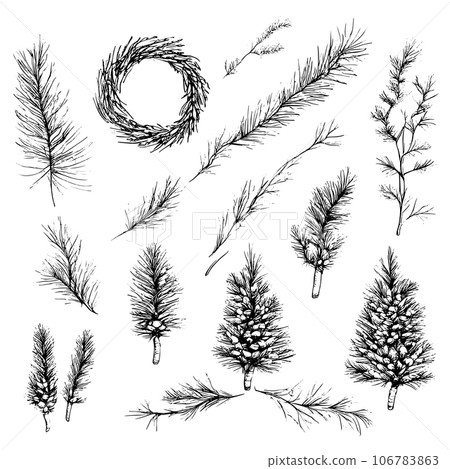 Vector line drawing. Christmas tree branches and cones drawn by a black line on a white background. Collection of Christmas decorative items. 106783863