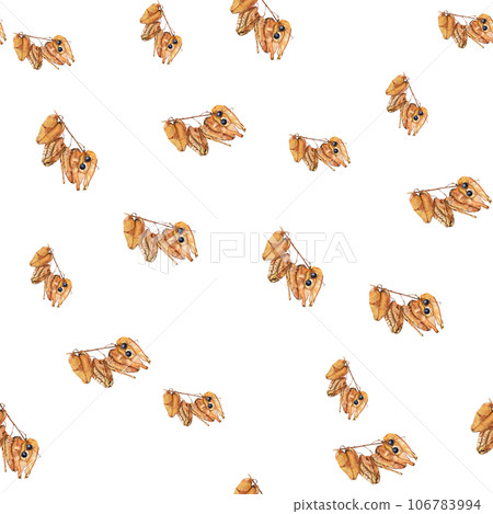 Koelreuteria paniculata. Seamless pattern on a white background of keilreiteria fruits. Elements for the design of fabrics, packaging, wallpaper, tableware 106783994