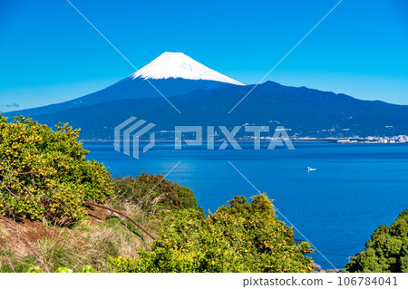 [靜岡縣] 收穫即將到來，橘田之外的富士山 106784041