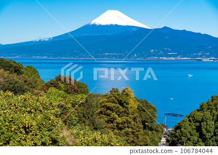 [靜岡縣] 收穫即將到來，橘田之外的富士山 106784044