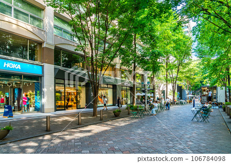 [東京]綠樹成蔭的丸之內仲通 106784098