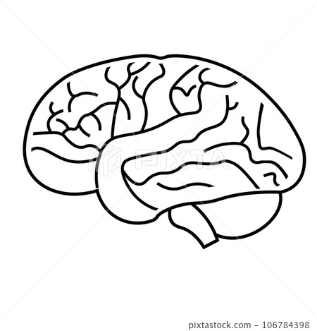brain intelligence brain intelligence 106784398
