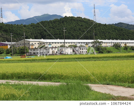 Countryside scenery 202208 (9) 106784424