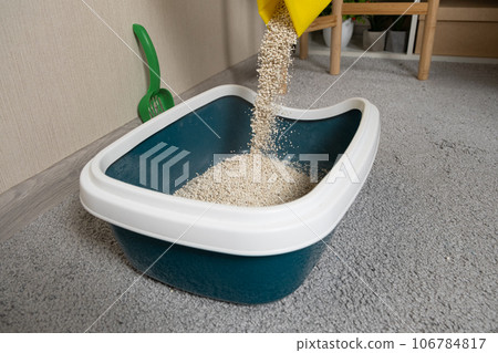 Pouring bentonite clumping filler into the litter box toilet for the cat 106784817