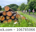 forestry hiking 106785066