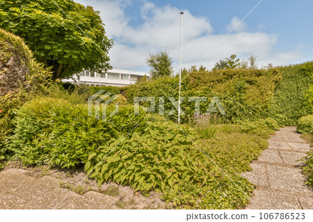 some bushes and plants in the yard with a house in the background on a sunny day, taken from behind some bushes and plants in the yard with a house in the background on a sunny day, taken from behind 106786523