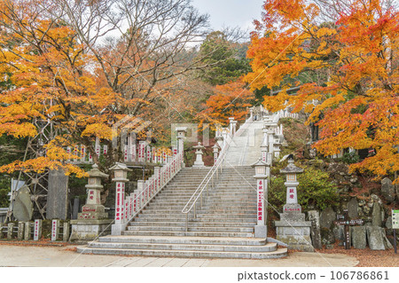 阿夫利神社下社境內的紅葉大山（阿夫利山）[神奈川縣伊勢原市] 106786861
