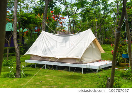 Camping tent under Delonix regia tree in Nha Trang Vietnam 106787067