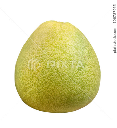 Pomelo mid-autumn festival white background go back pomelo isolated clipping path 切り抜き 106787935