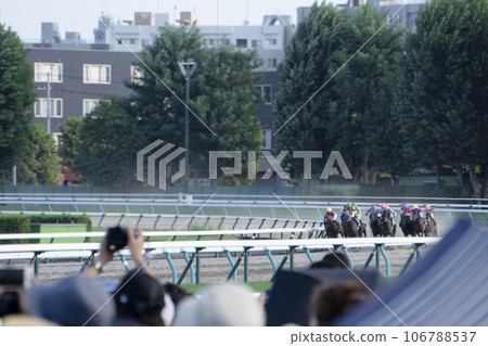 比賽中的賽馬成群奔跑 106788537