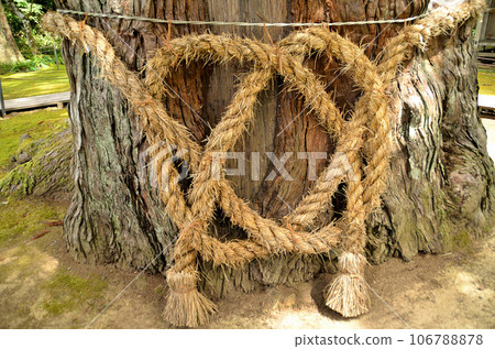 Hakusan Shrine where a large cedar tree in Mushikawa, Joetsu City, Niigata Prefecture is enshrined Hakusan Shrine where a large cedar tree in Mushikawa, Joetsu City, Niigata Prefecture is enshrined 106788878