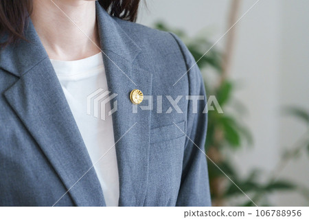 Female lawyer with a lawyer badge Female lawyer with a lawyer badge 106788956