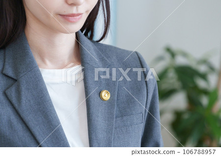 Female lawyer with a lawyer badge Female lawyer with a lawyer badge 106788957