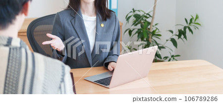 Female lawyer talking with client Female lawyer talking with client 106789286