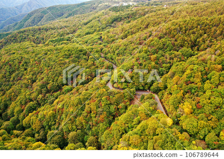 Aerial view of the Nichisio maple line before autumn leaves Aerial view of the Nichisio maple line before autumn leaves 106789644