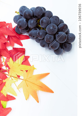 Autumn leaves and Kyoho Autumn leaves and Kyoho 106789656