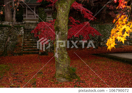 拍攝滋賀縣江東三山三山之一永源寺的秋葉 106790072