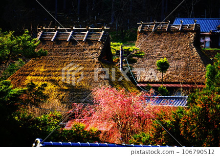 Thatched roof garden and cherry blossoms 106790512