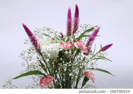 Bouquet of various colors on white background Bouquet of various colors on white background 106790834