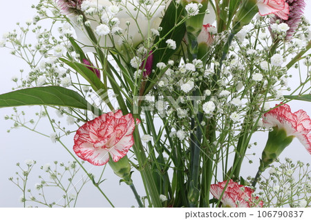 Bouquet of various colors on white background 106790837