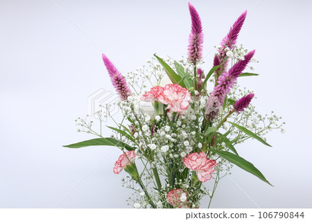 白色背景上各種顏色的花束 白色背景上各種顏色的花束 106790844