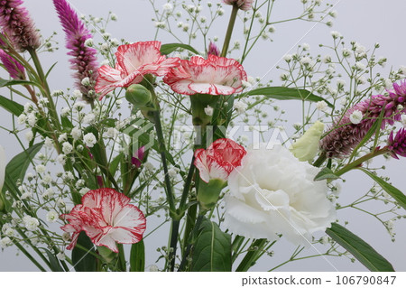 白色背景上各種顏色的花束 白色背景上各種顏色的花束 106790847