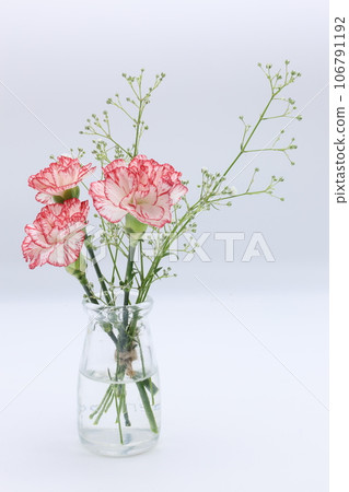 Red carnation and gypsophila flowers in a small jar Red carnation and gypsophila flowers in a small jar 106791192