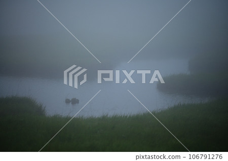 霧濕地 106791276