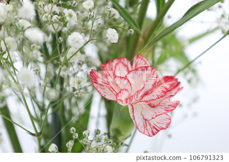 各種花束和紅色康乃馨的特寫 106791323