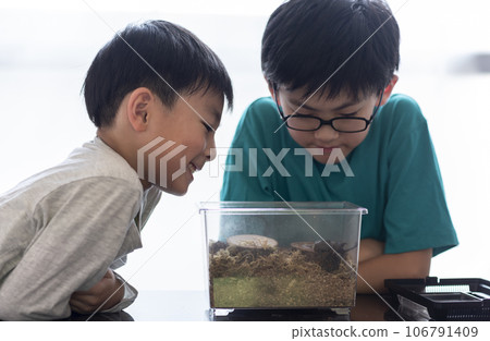 Brothers observing beetles 106791409