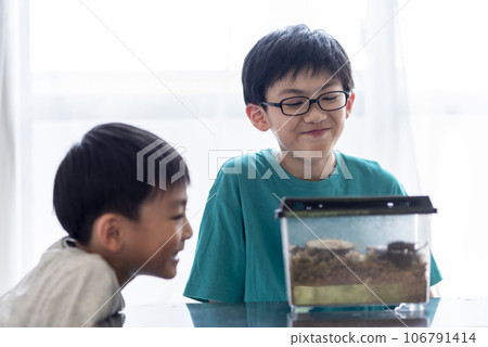觀察甲蟲的兄弟 106791414