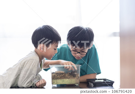 Brothers observing beetles Brothers observing beetles 106791420