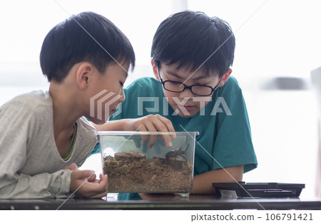 觀察甲蟲的兄弟 觀察甲蟲的兄弟 106791421