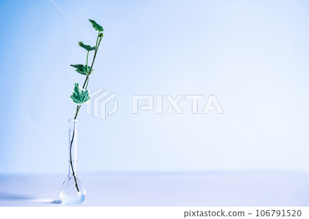 材質: 綠色花瓶 106791520