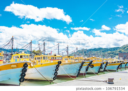 Material seaside scenery 106791534