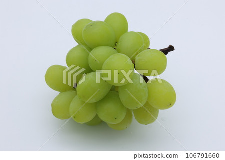 green muscat on white background green muscat on white background 106791660