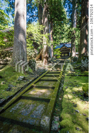 Fukui Eiheiji Temple's Karamon gate colored by summer sunlight filtering through the trees and green moss 106792014
