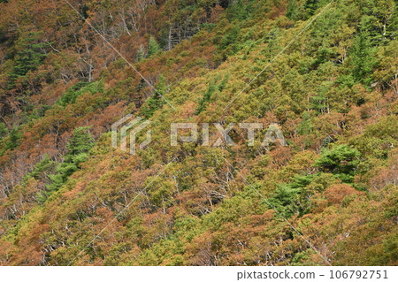 Mountains of Nikko in mid-autumn 106792751