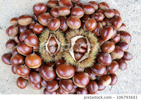 許多日本栗子和毛栗子都是秋天的味道。 106793681