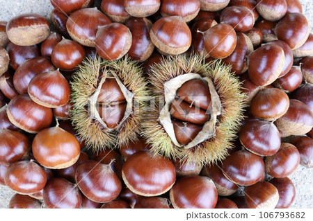 許多日本栗子和毛栗子都是秋天的味道。 106793682