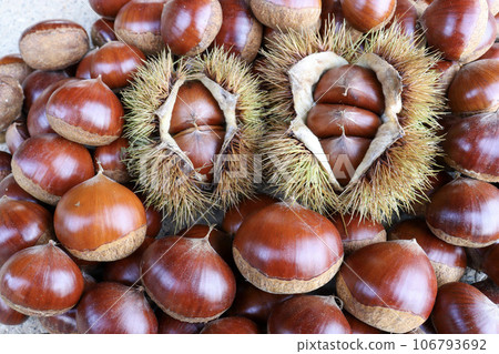 許多日本栗子和毛栗子都是秋天的味道。 106793692