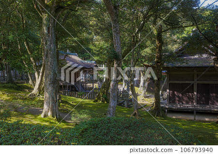 Noto Myojoji Temple Sanjujindo in the forest 106793940