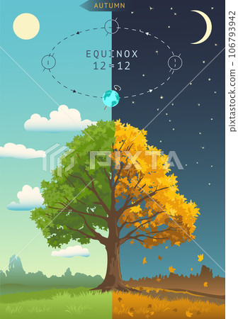 Tree with autumn and summer leaves. Season change visualization. 106793942