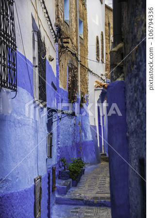 藍城Chefchaouen 106794336